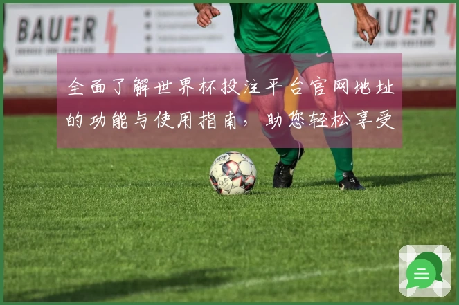 全面了解世界杯投注平台官网地址的功能与使用指南,助您轻松享受体育直播体验