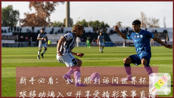 新手必看：如何顺利访问世界杯买球移动端入口并享受精彩赛事直播