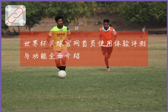 世界杯买球官网首页使用体验评测与功能全面介绍