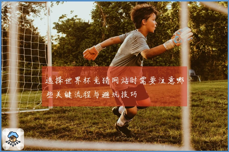选择世界杯竞猜网站时需要注意哪些关键流程与避坑技巧