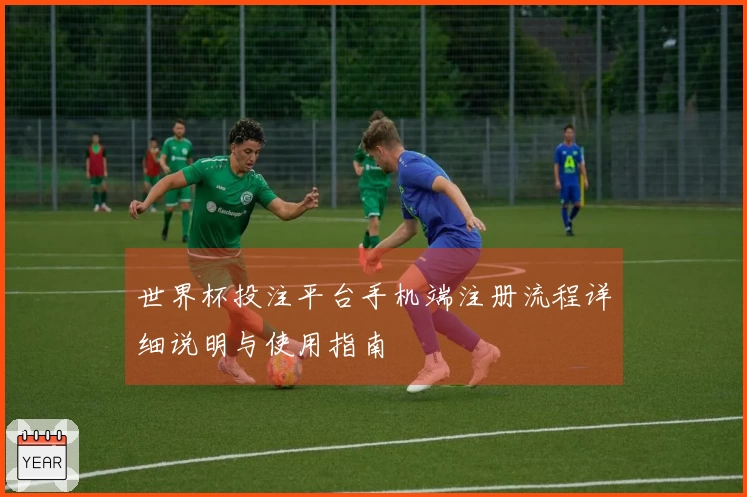 世界杯投注平台手机端注册流程详细说明与使用指南