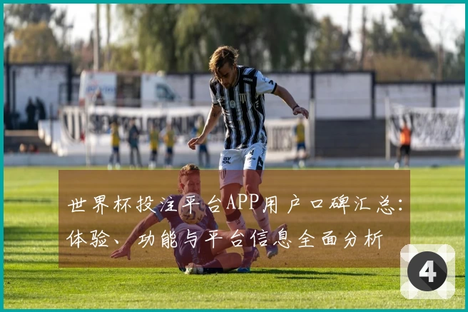 世界杯投注平台APP用户口碑汇总：体验、功能与平台信息全面分析