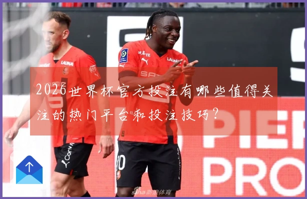 2026世界杯官方投注有哪些值得关注的热门平台和投注技巧？