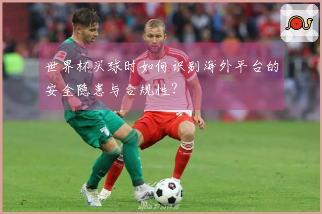 世界杯买球时如何识别海外平台的安全隐患与合规性？