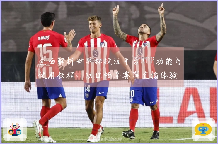 全面解析世界杯投注平台APP功能与使用教程，助你畅享赛事直播体验
