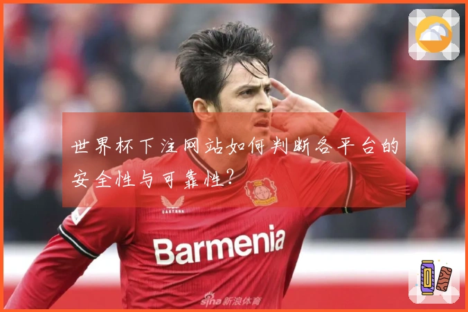 世界杯下注网站如何判断各平台的安全性与可靠性？