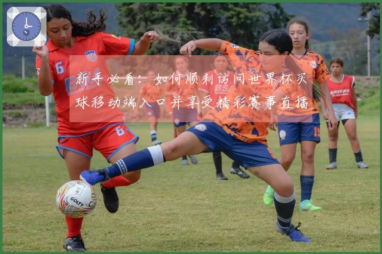 新手必看:如何顺利访问世界杯买球移动端入口并享受精彩赛事直播