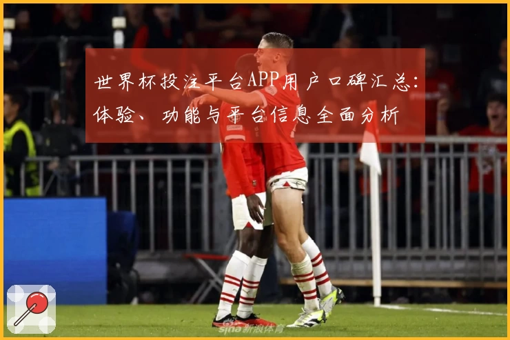 世界杯投注平台APP用户口碑汇总：体验、功能与平台信息全面分析