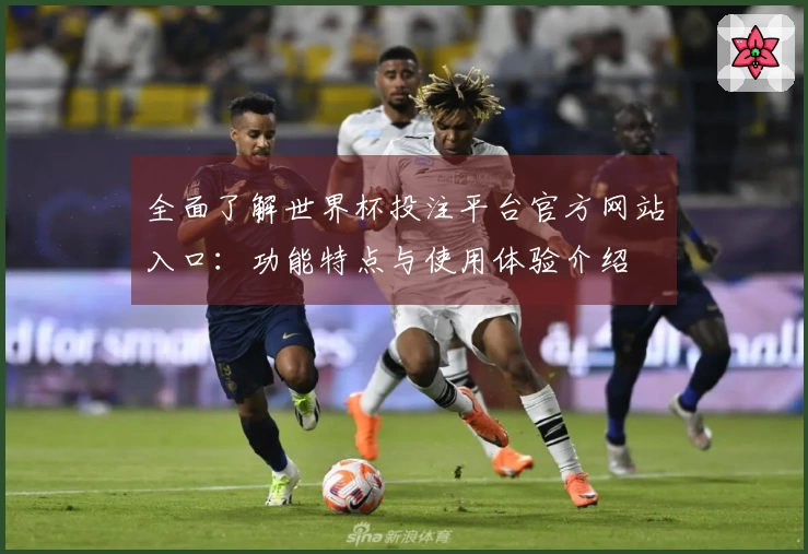 全面了解世界杯投注平台官方网站入口：功能特点与使用体验介绍
