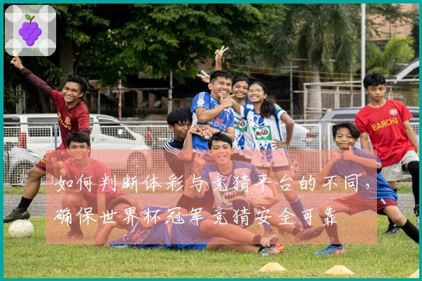 如何判断体彩与竞猜平台的不同，确保世界杯冠军竞猜安全可靠