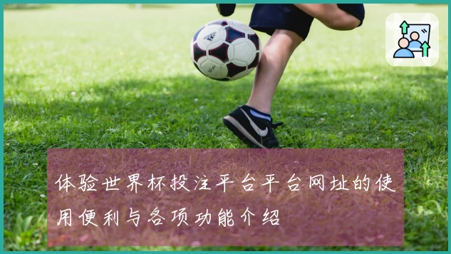 体验世界杯投注平台平台网址的使用便利与各项功能介绍