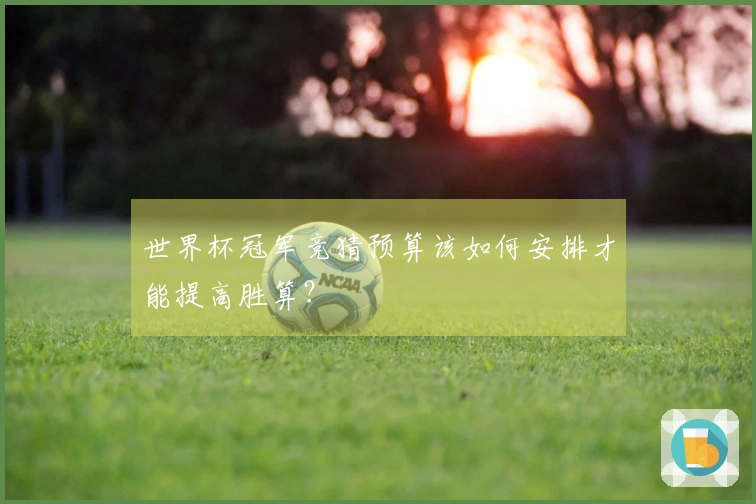 世界杯冠军竞猜预算该如何安排才能提高胜算？