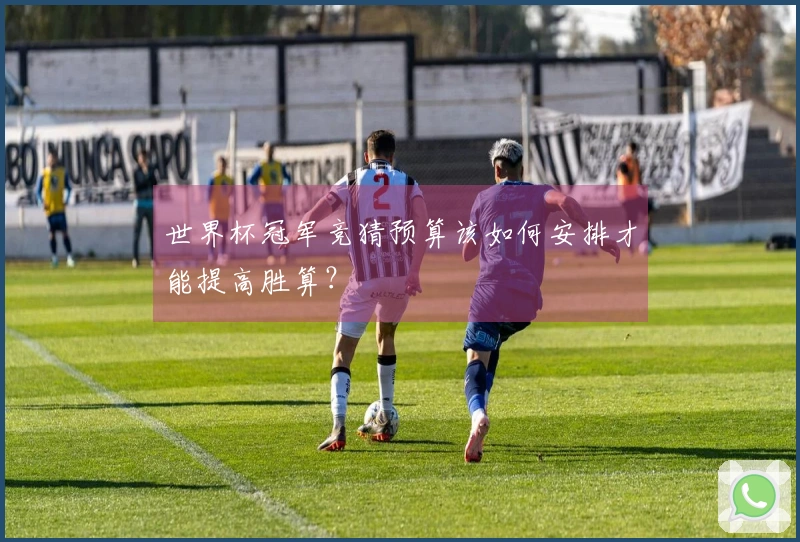世界杯冠军竞猜预算该如何安排才能提高胜算？