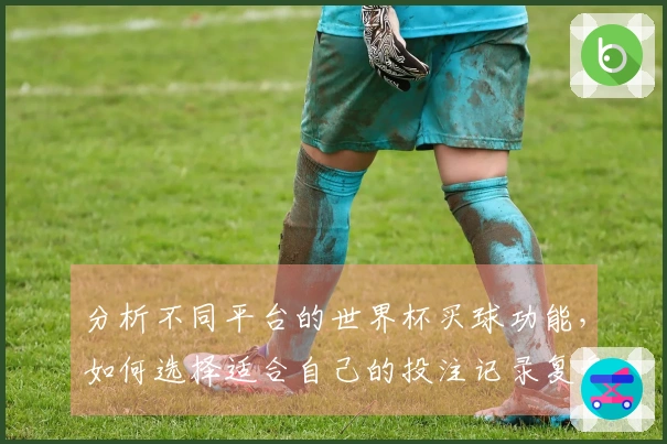 分析不同平台的世界杯买球功能，如何选择适合自己的投注记录复盘方式？