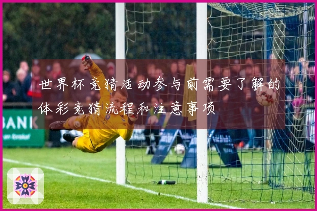 世界杯竞猜活动参与前需要了解的体彩竞猜流程和注意事项