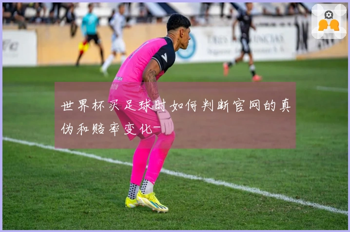 世界杯买足球时如何判断官网的真伪和赔率变化-